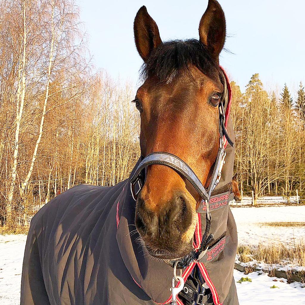 WhatsApp Image 2019-05-10 at 23.07.06 (3).jpeg