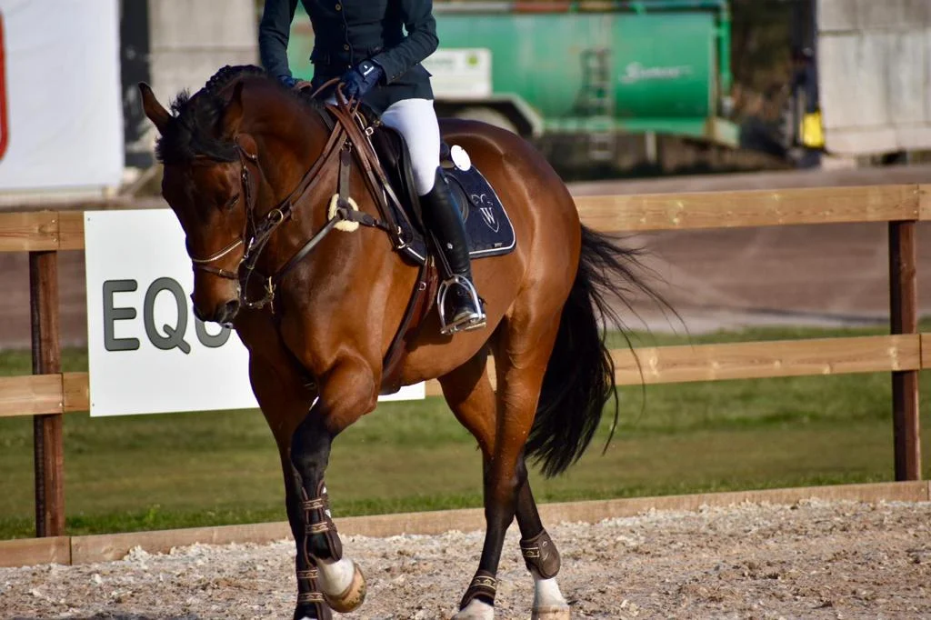 WhatsApp Image 2019-05-10 at 23.07.06 (1).jpeg