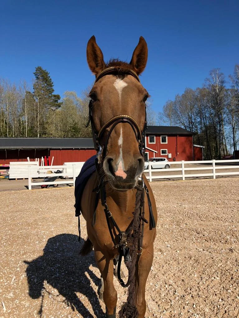 WhatsApp Image 2019-05-10 at 23.12.32 (2).jpeg