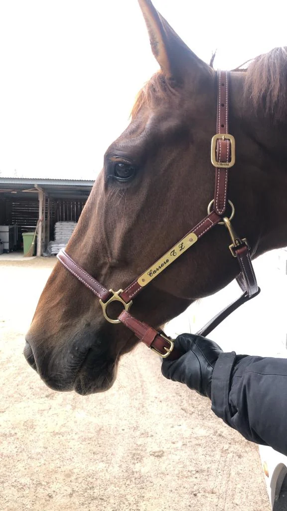 WhatsApp Image 2019-05-10 at 23.12.32 (1).jpeg