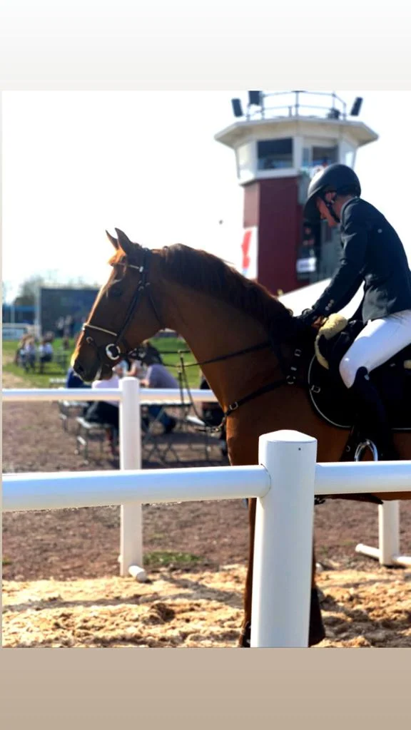 WhatsApp Image 2019-05-10 at 23.12.32.jpeg