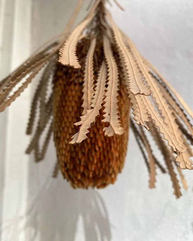 〰️ Magical Nature morte exhibition at The entrance to @vanishing_point_studio at J&aelig;gersborggade, Copenhagen