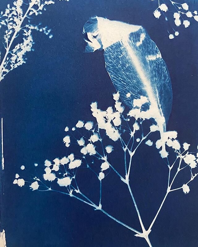 〰️ New Kind of Artwork In The Portfolio