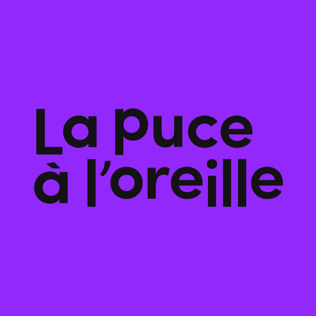 Balado La Puce à l'oreille Les lettres LGBTQIA+ et la marche de la fierté