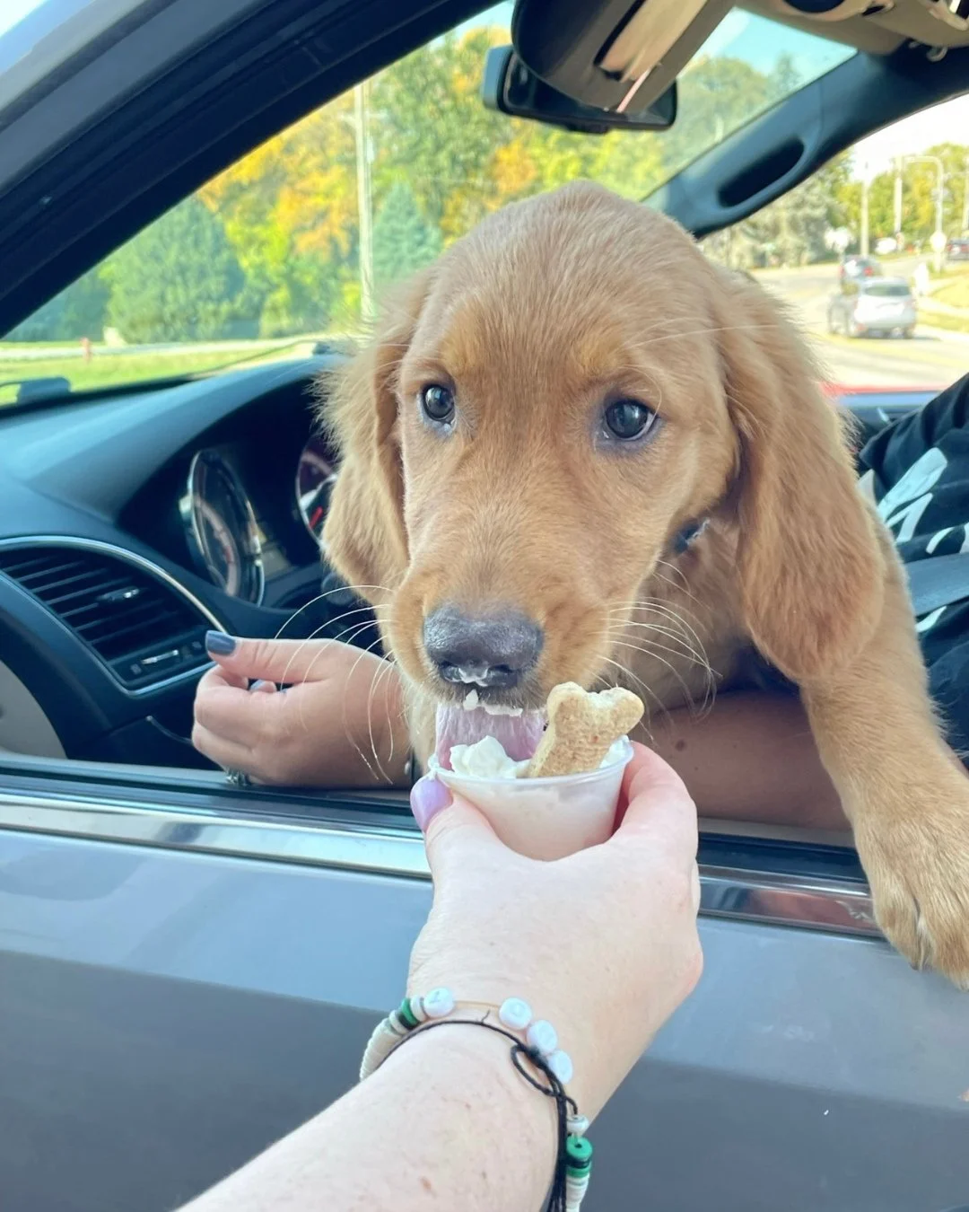 It&rsquo;s Friday and we have your coffee ready for you and treats for your pup!☕️