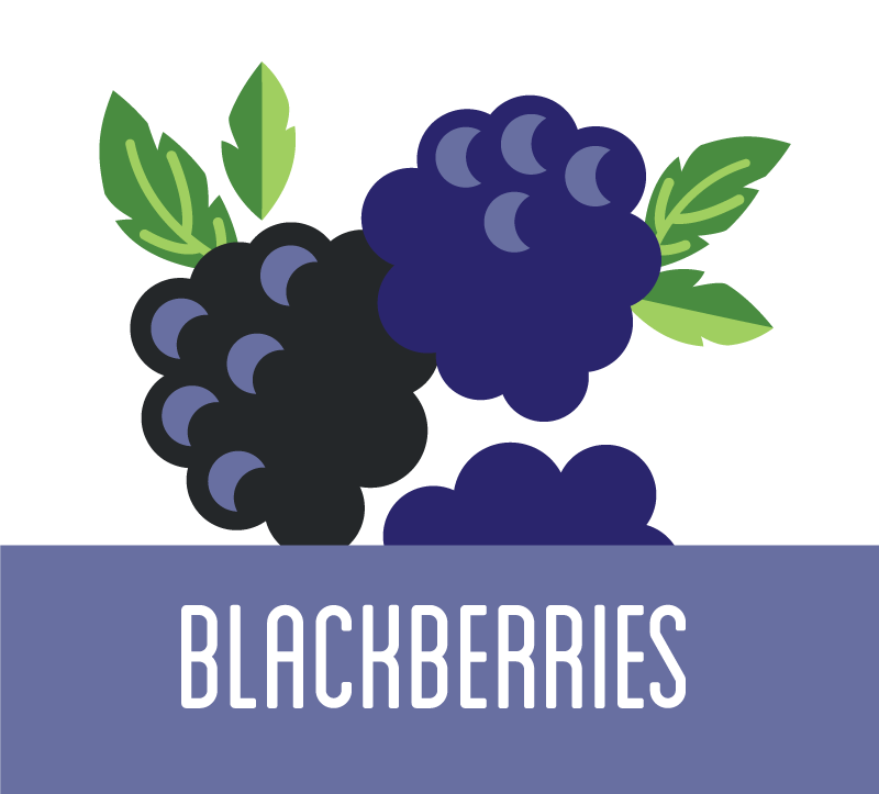 Our Produce — Alpine Fresh