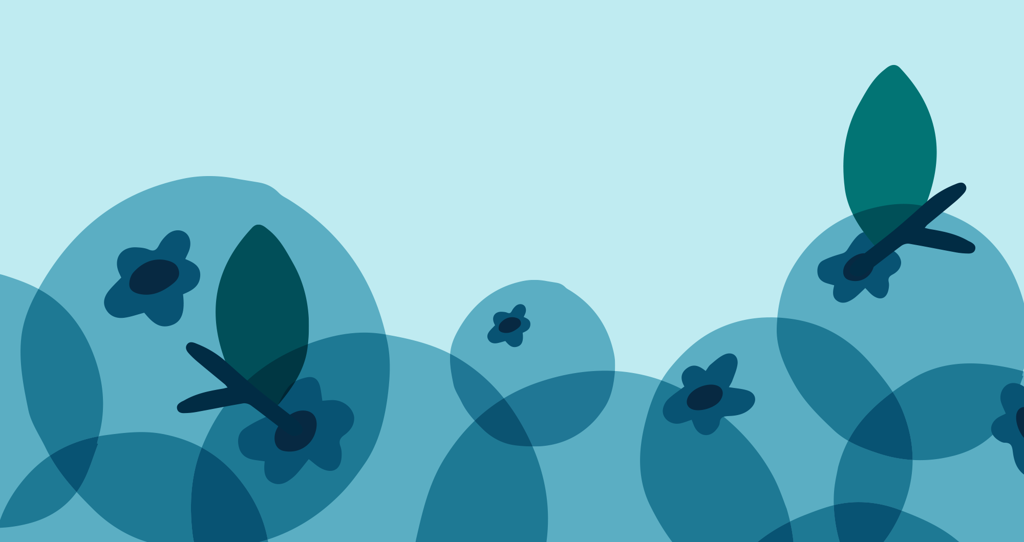 blueberry.png