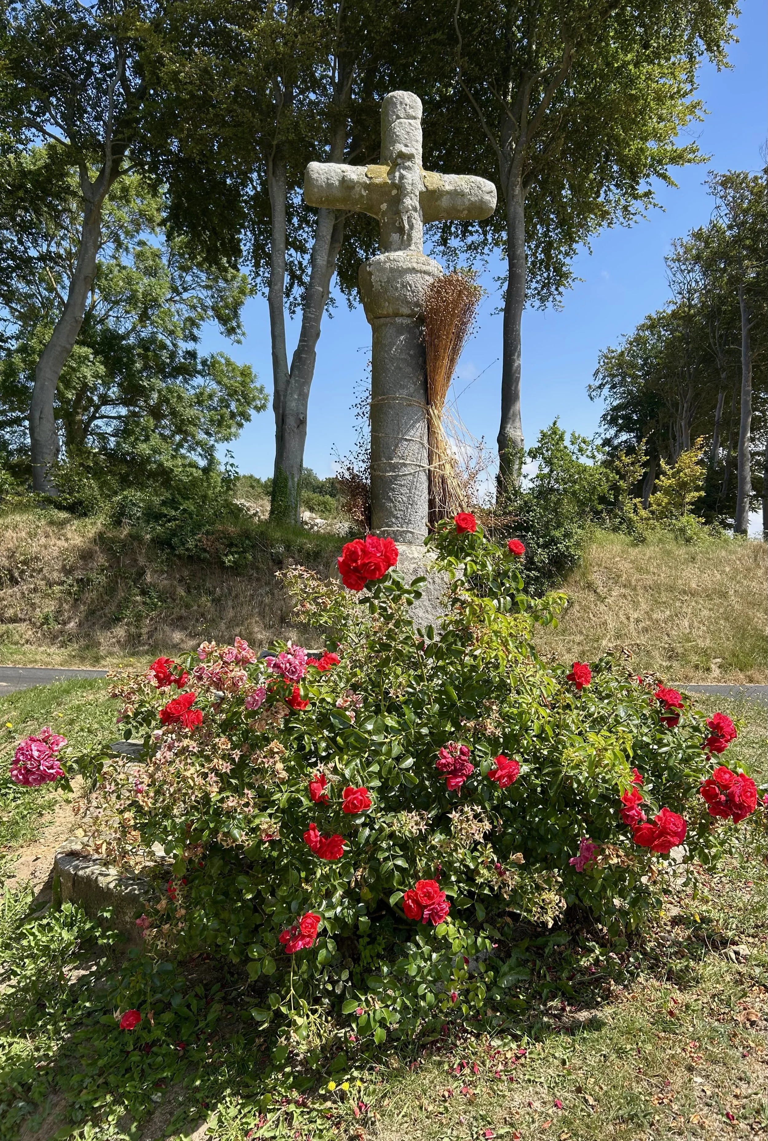 IMG_8609.jpeg