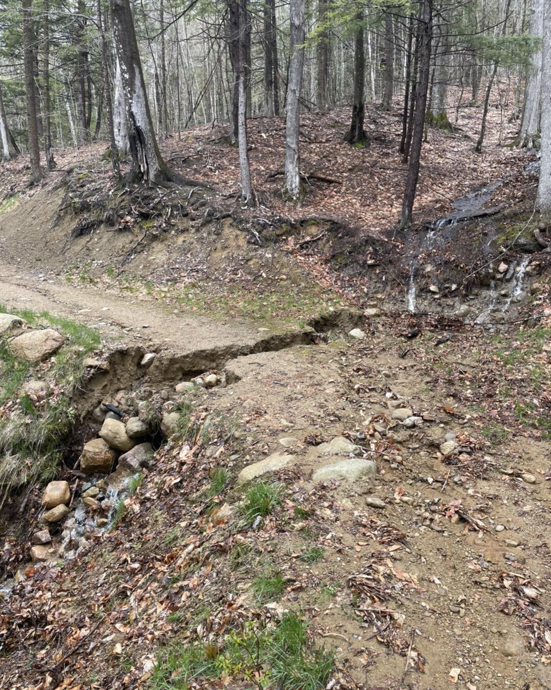 Trail Workday Update

To get the Hurricane network rideable we are going to need a multiple volunteer trail days. Storm damage on every trail with some sections of trail showing extensive erosion. Tulip Trails will be repairing certain sections with 
