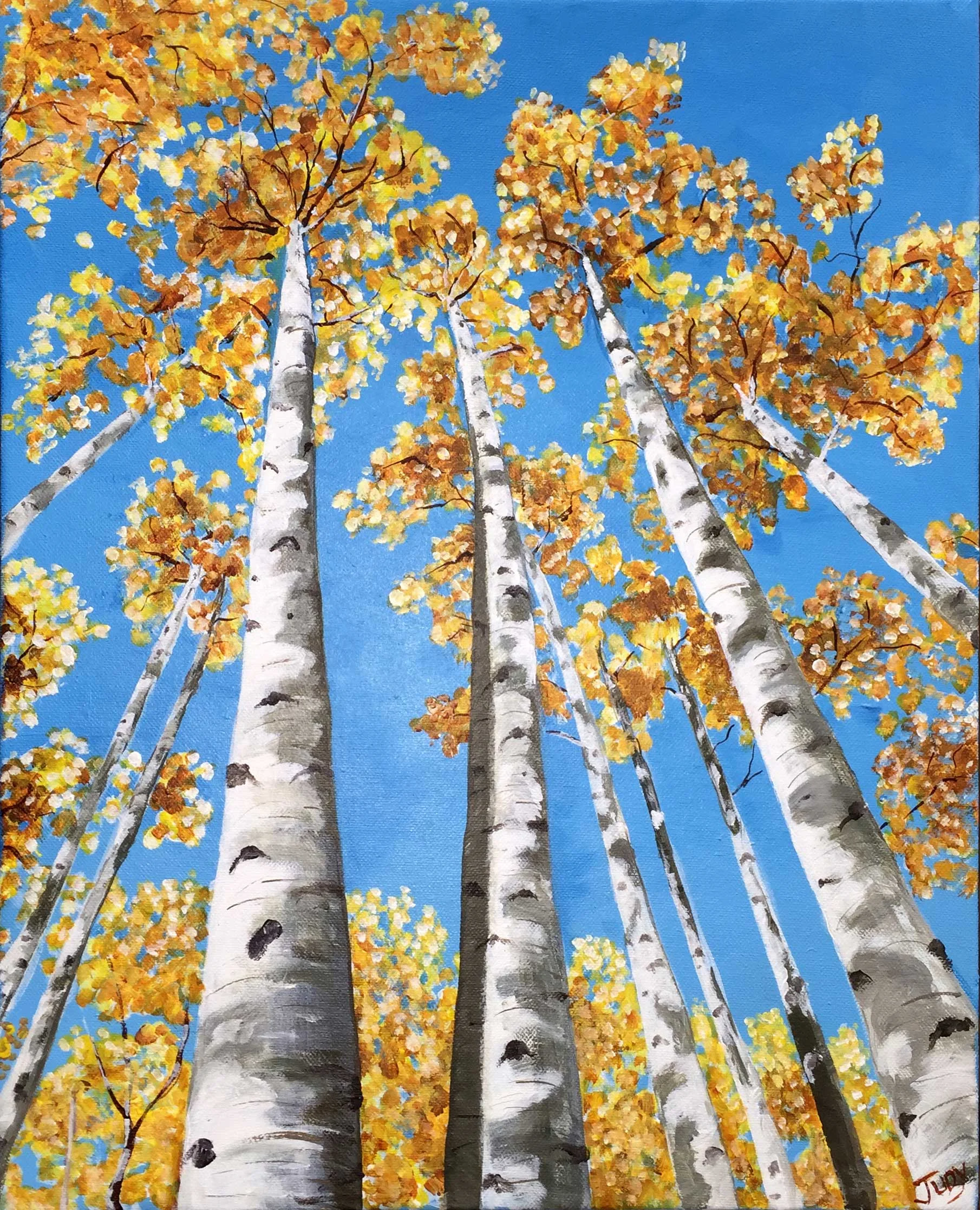 Aspen Trees