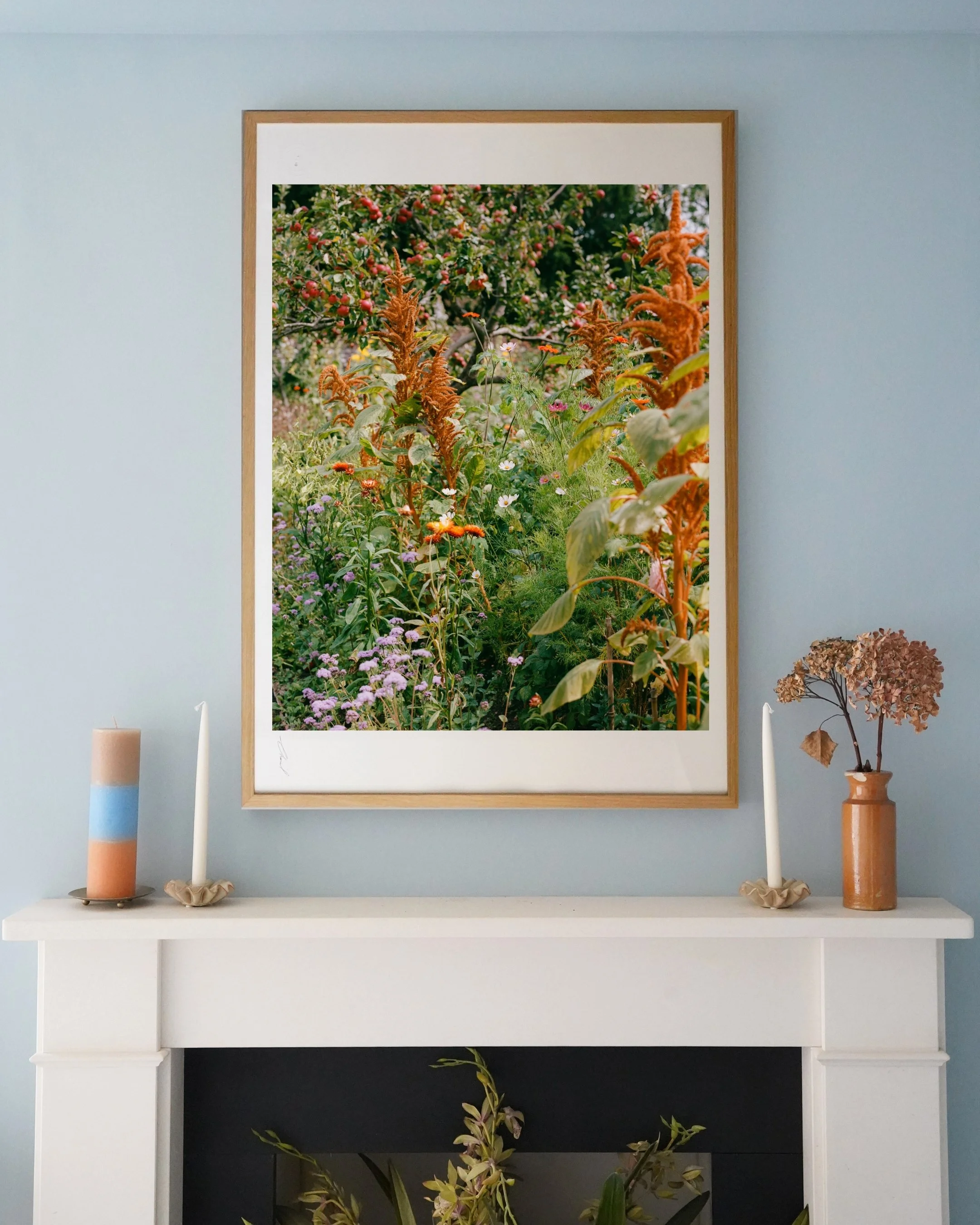 Charleston Garden-Demo.jpg