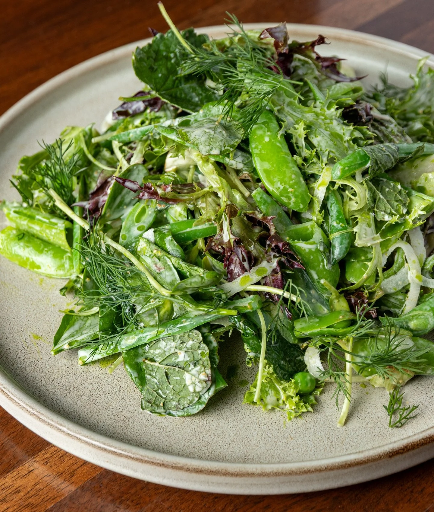 Greens on greens on greens 🌱 Contadina &bull; baby lettuces, green beans, sunflower sprouts, all the herbs, buttermilk dressing
