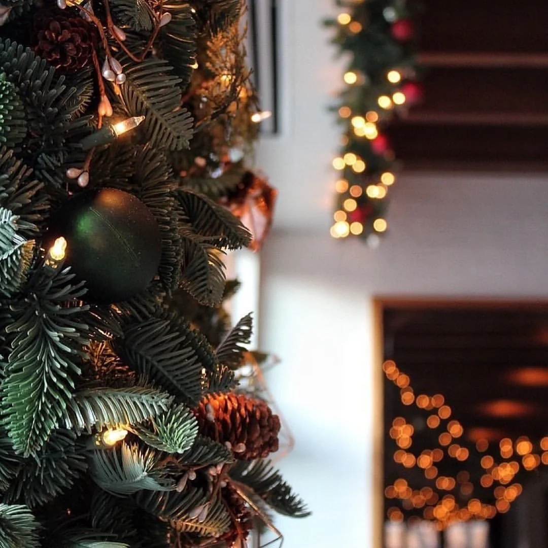 We will be closed today - December 25 for the holidays, but look forward to serving you again on Friday. Wishing you and yours a Merry Christmas and happy holidays! 🎄