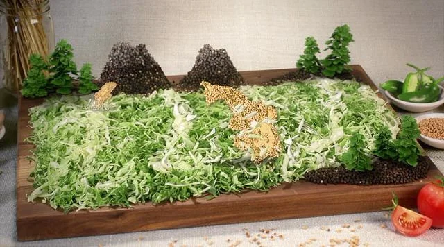 Rubio's The Art of the Fish Taco "Alaska"