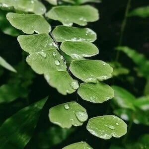 What Gives Us the Right to Judge? (How meditation supports us in suspending judgement.)