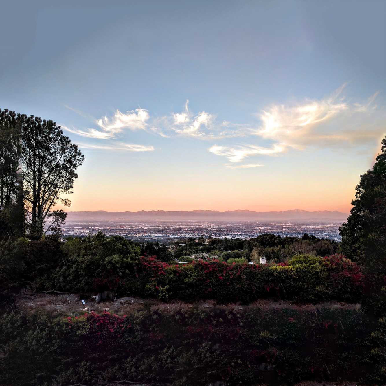 01- City Overlook.png