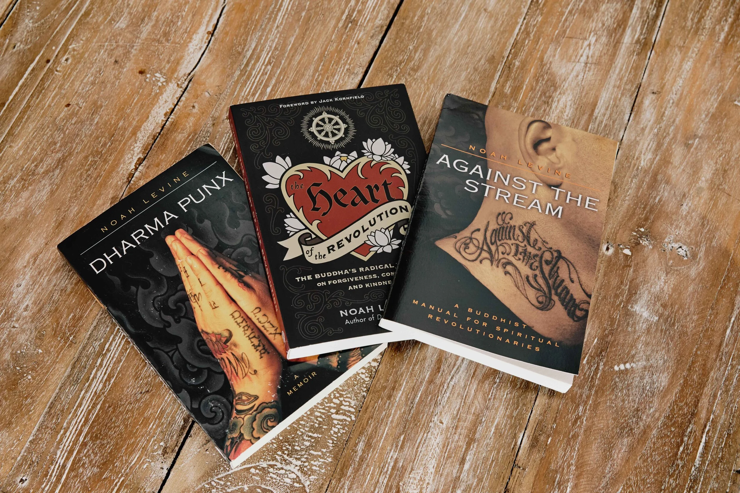 noah-levine-books-web.jpg