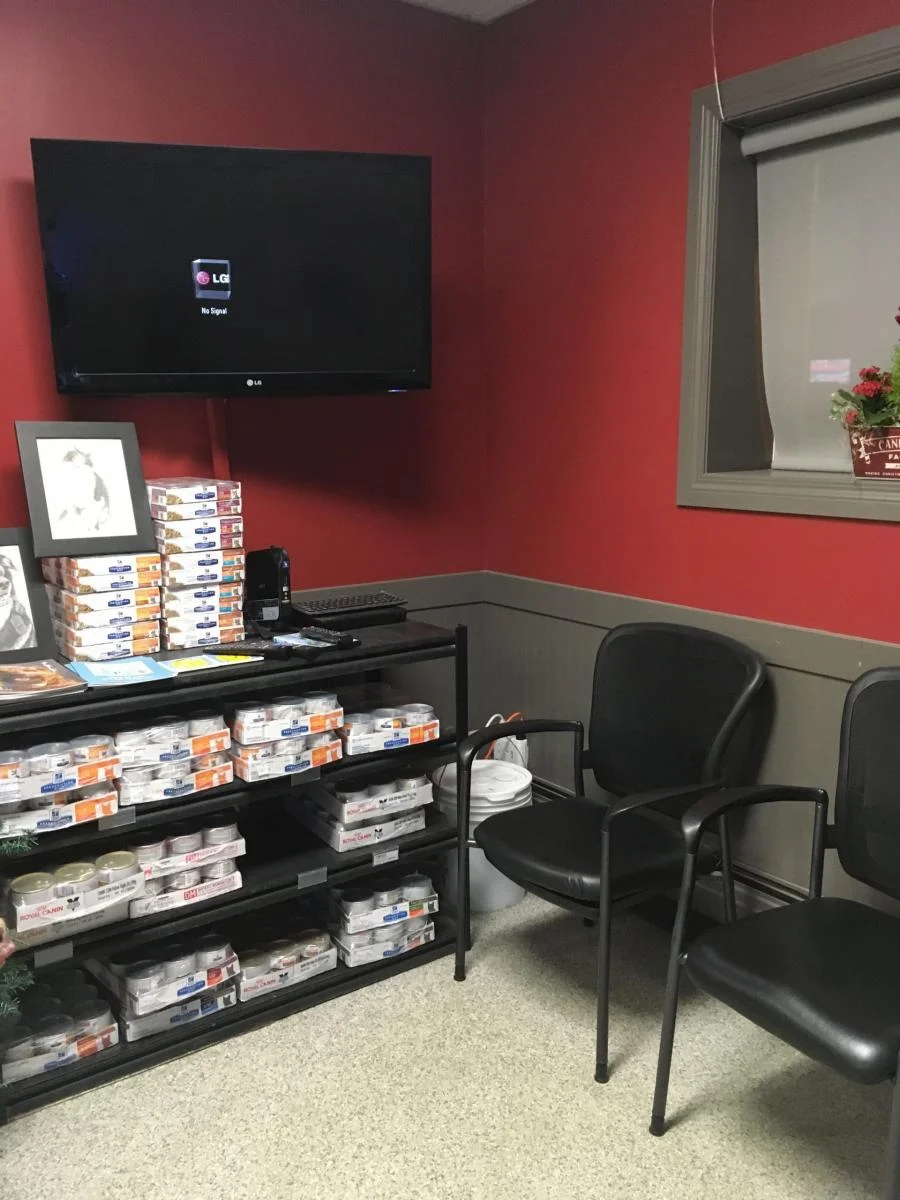  Animal Clinic of Regina’s reception seating area 