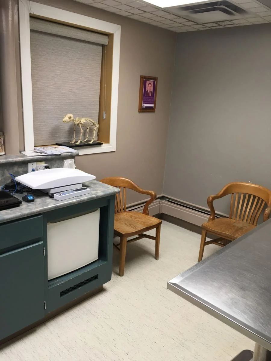  one of Animal Clinic of Regina’s exam rooms 