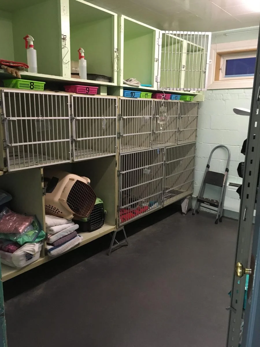  Animal Clinic of Regina’s small animal kennels 