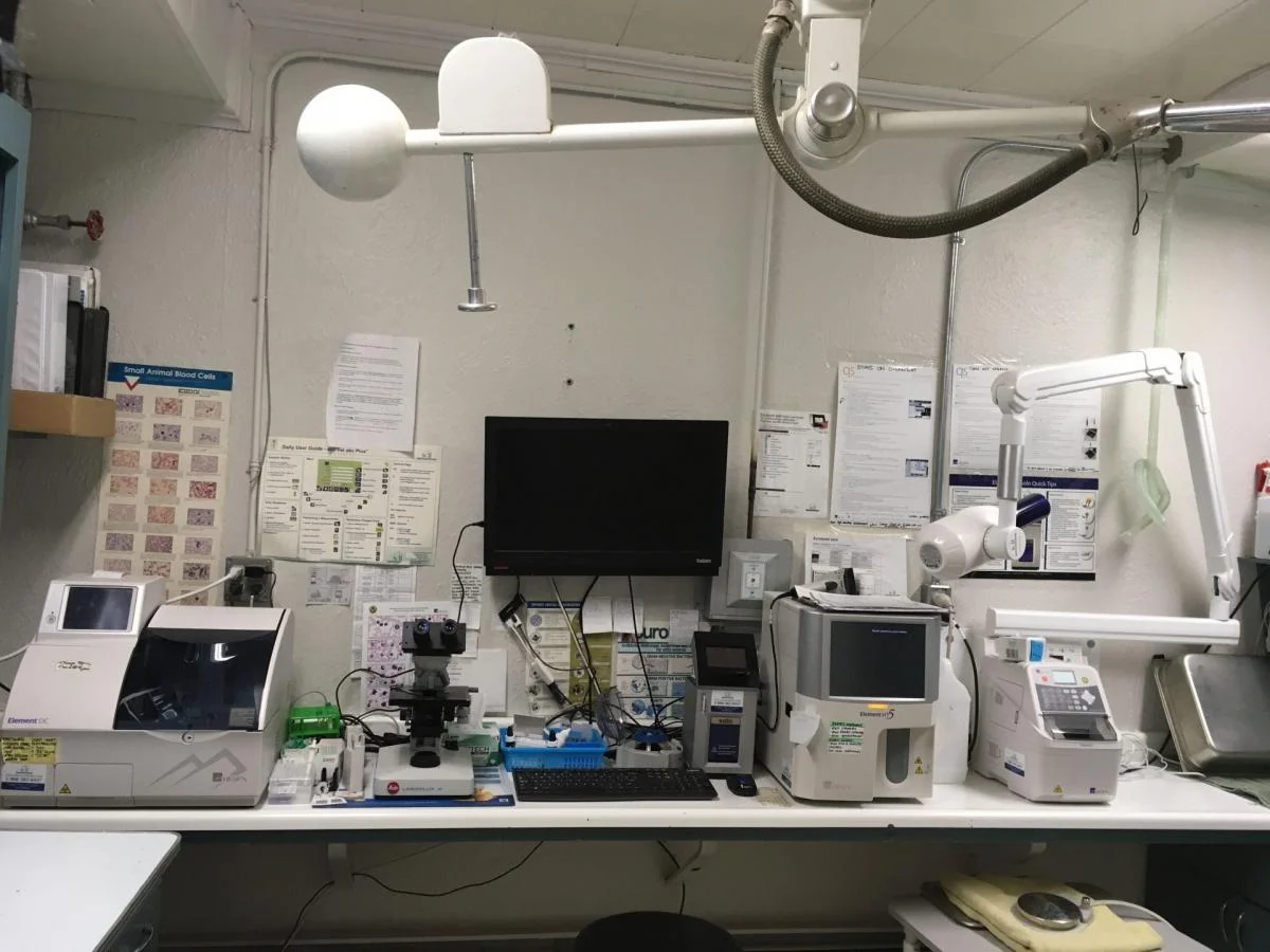  Animal Clinic of Regina’s laboratory 