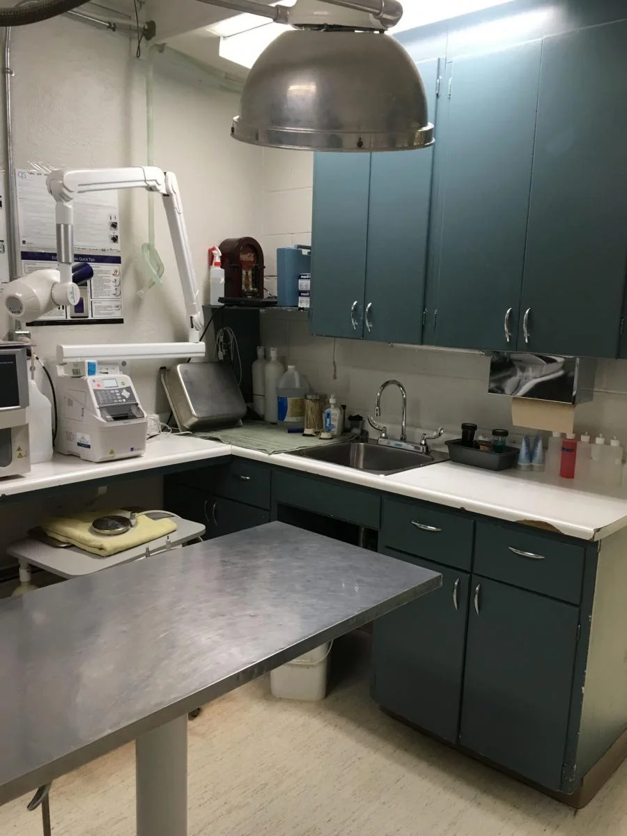  Animal Clinic of Regina’s laboratory 
