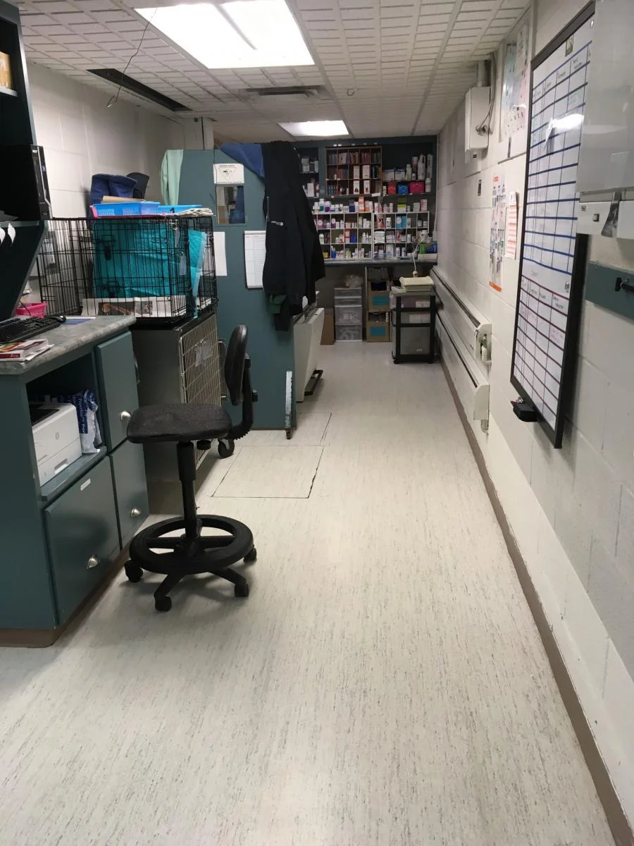  Animal Clinic of Regina’s pharmacy 