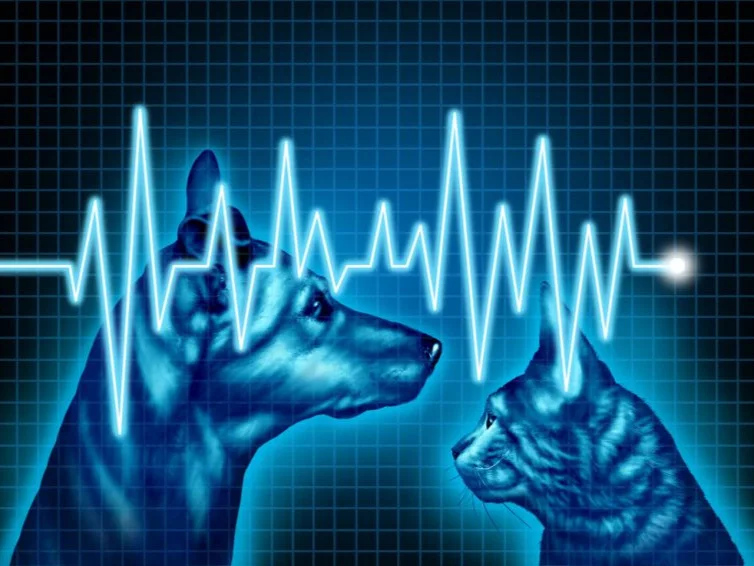 an illustration in blue of a dog and cat facing each other with a line tracing of a heart beat across it