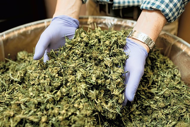 cannabeat1-1-3c5219d6e1ca90b0.jpg