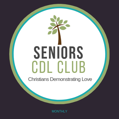 Seniors Logo.png
