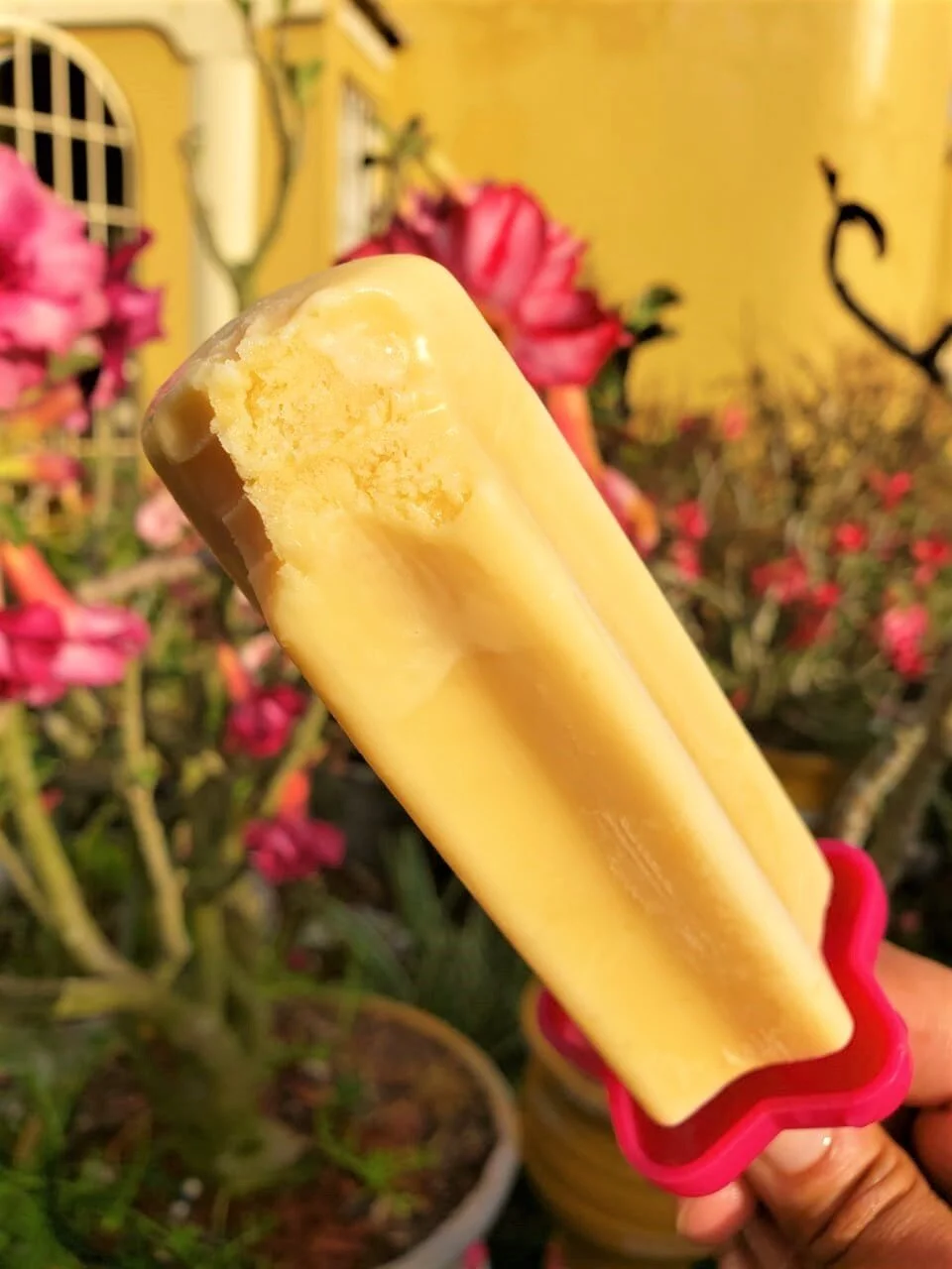 Coconut Ice Cream Popsicle