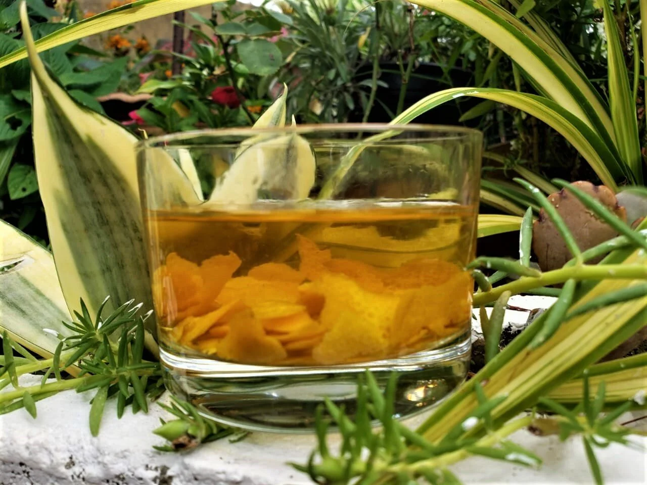 Homemade Portugal or Orange Extract