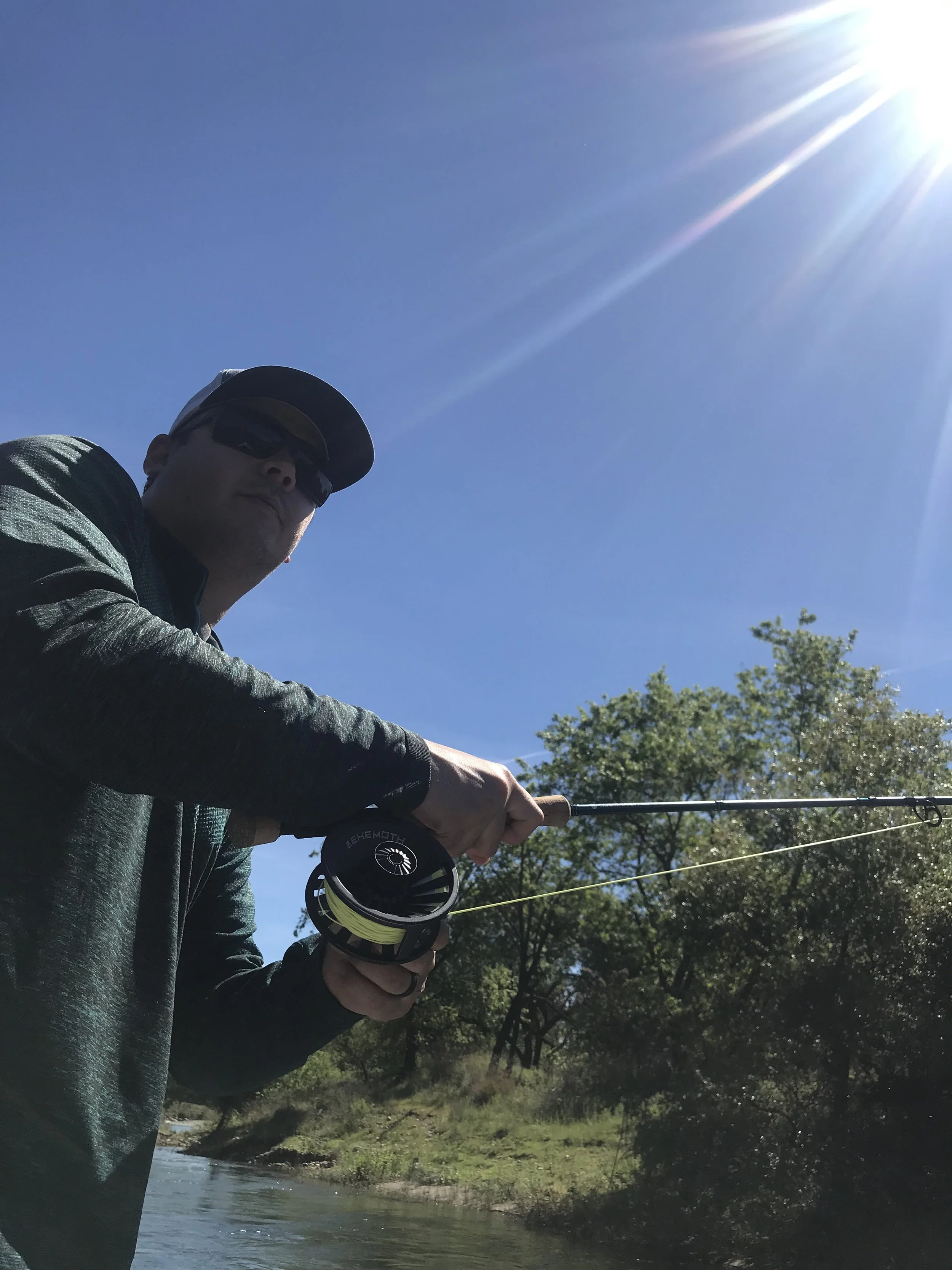 American River Steelhead