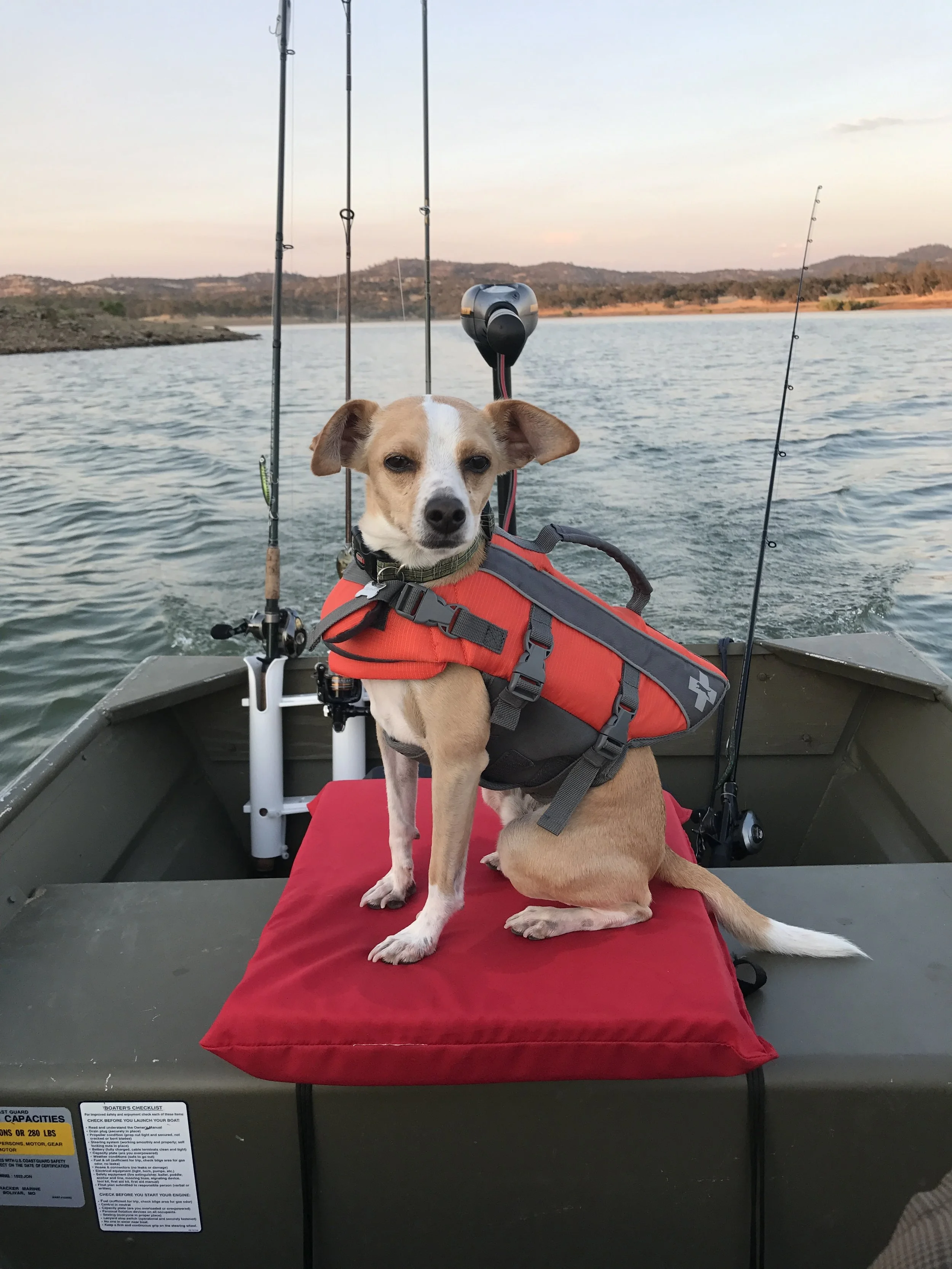 I'm the Captain Now!