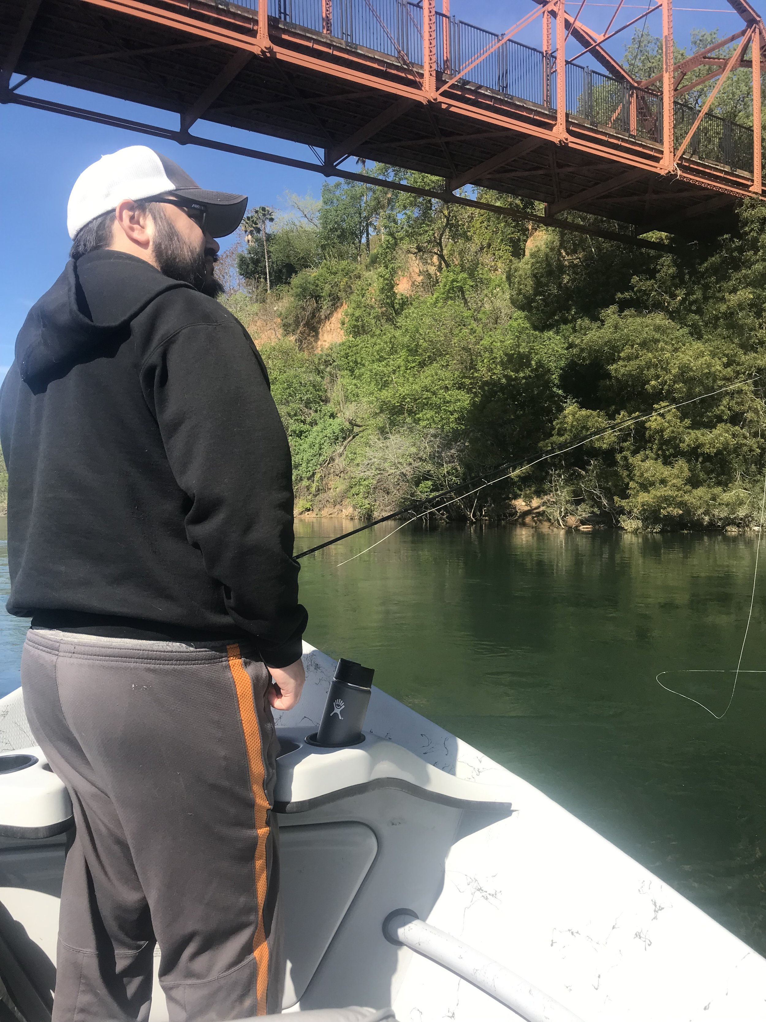 American River Steelhead Rian
