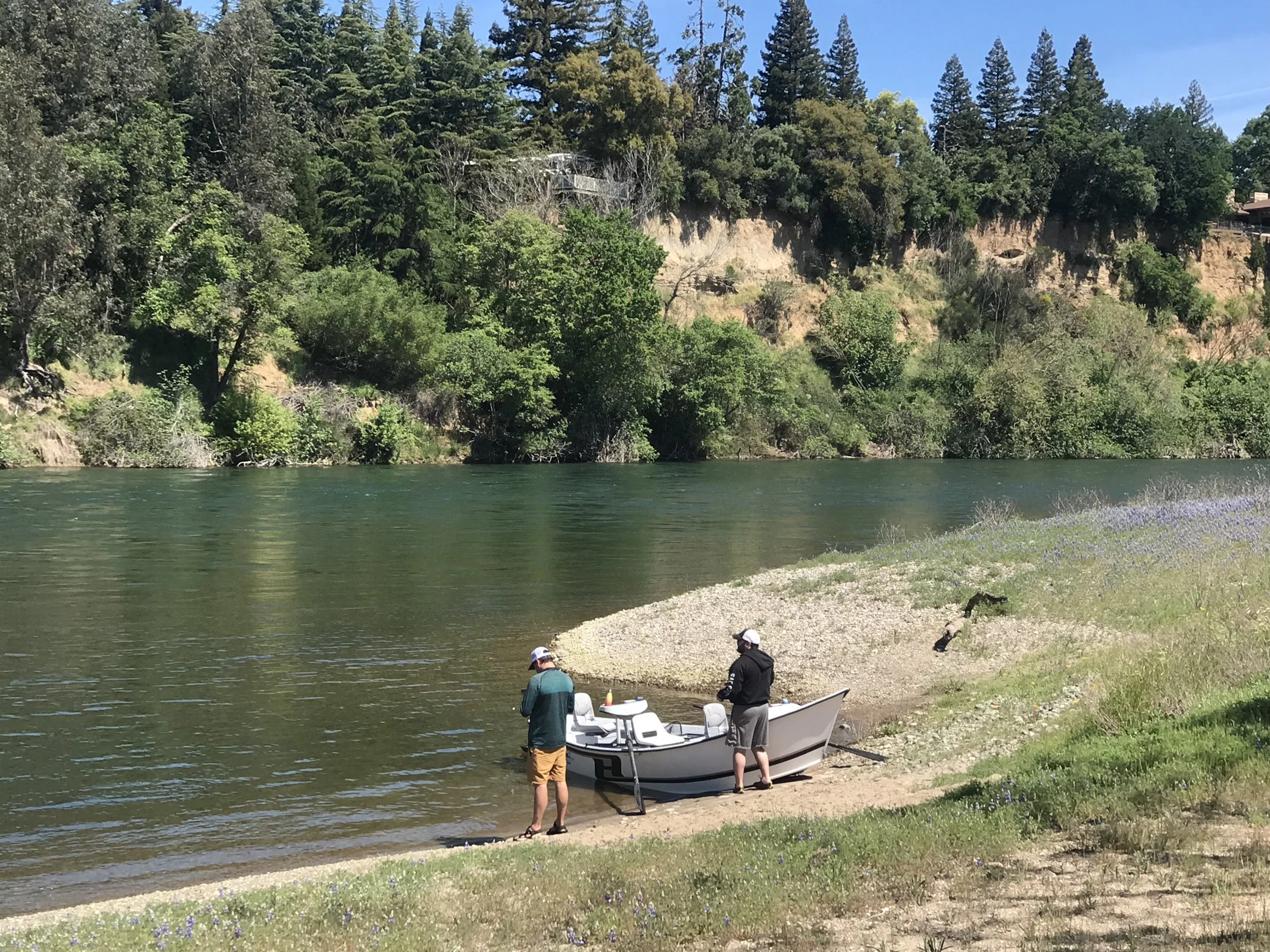 American River Steelhead Scenery