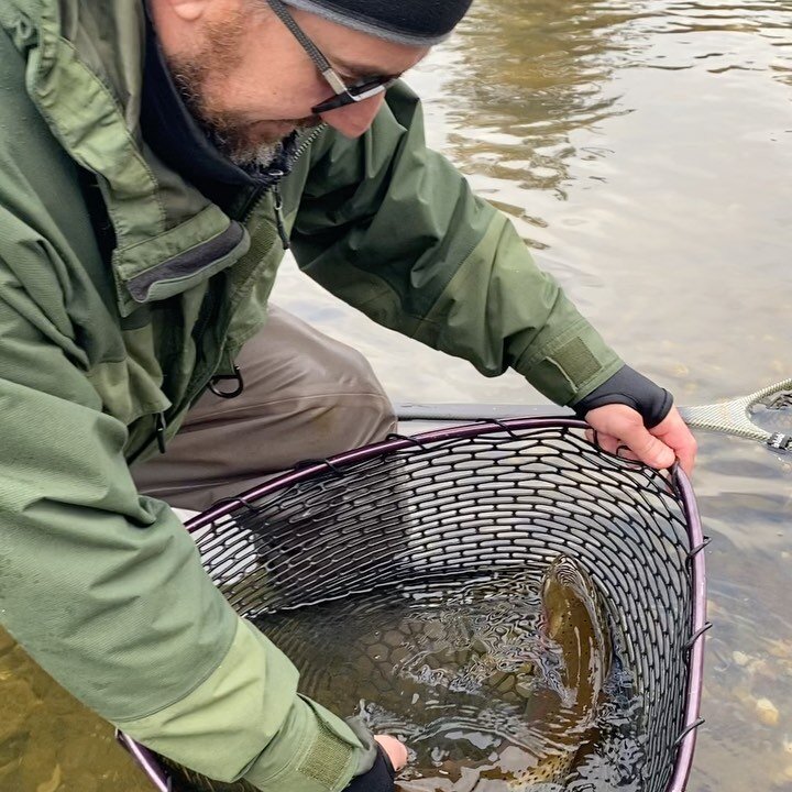 Yesterday finally felt like winter. When Jeff nailed his first fish on the swing.. and a great fish at that... it made a day in the rain completely worth it!! 
&lsquo;
#flyfishing #steelheadonthefly #fishca #speyfishing #flyfishinglife