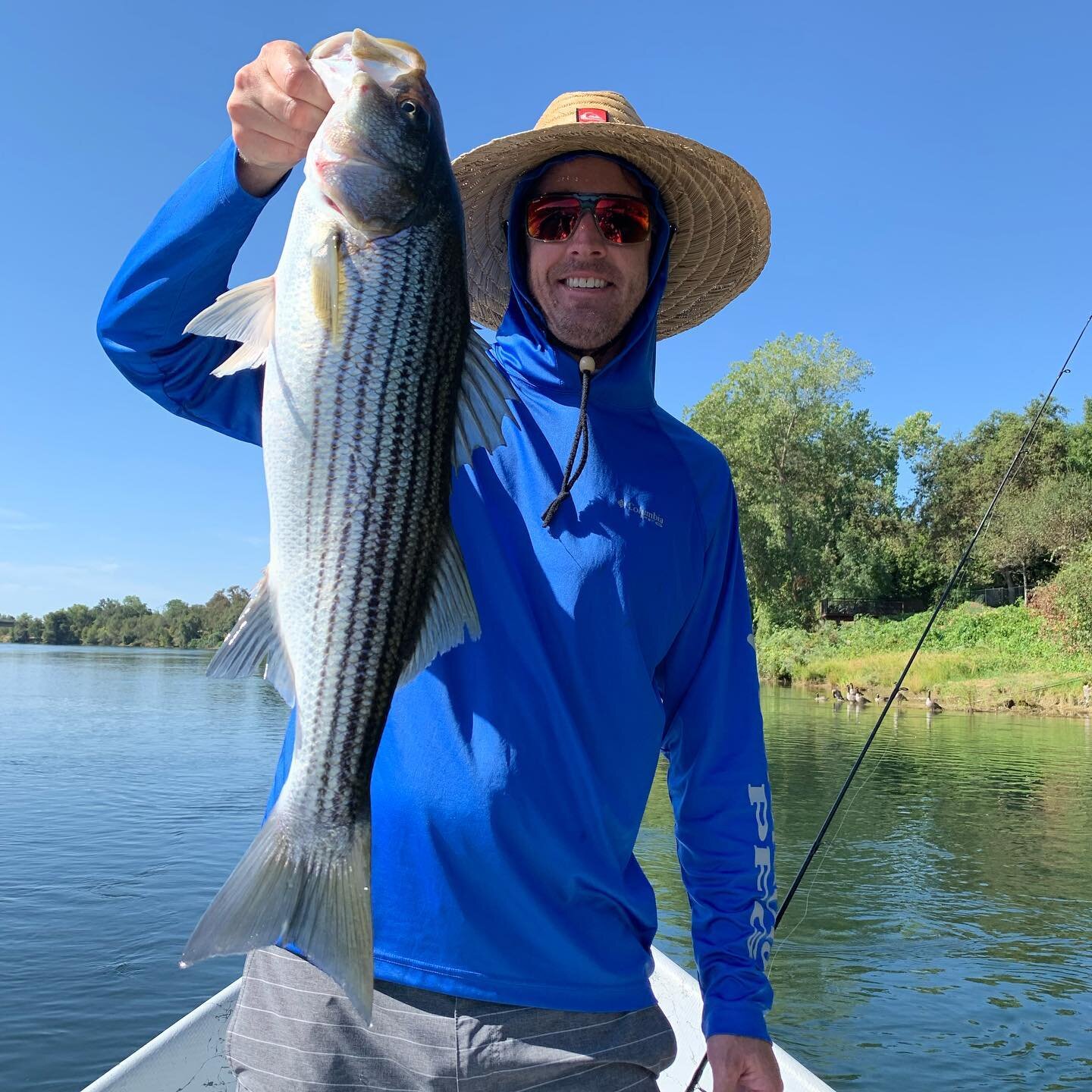 Great day fishing with Ryan and Chip. So much fun when it all comes together, and we found some solid fish yesterday Gotta love that 6 lb, 6 oz Striper fight!
&lsquo;
#fishing #fishcalifornia #stripedbass #thetugisthedrug #getoutside #fishinglife