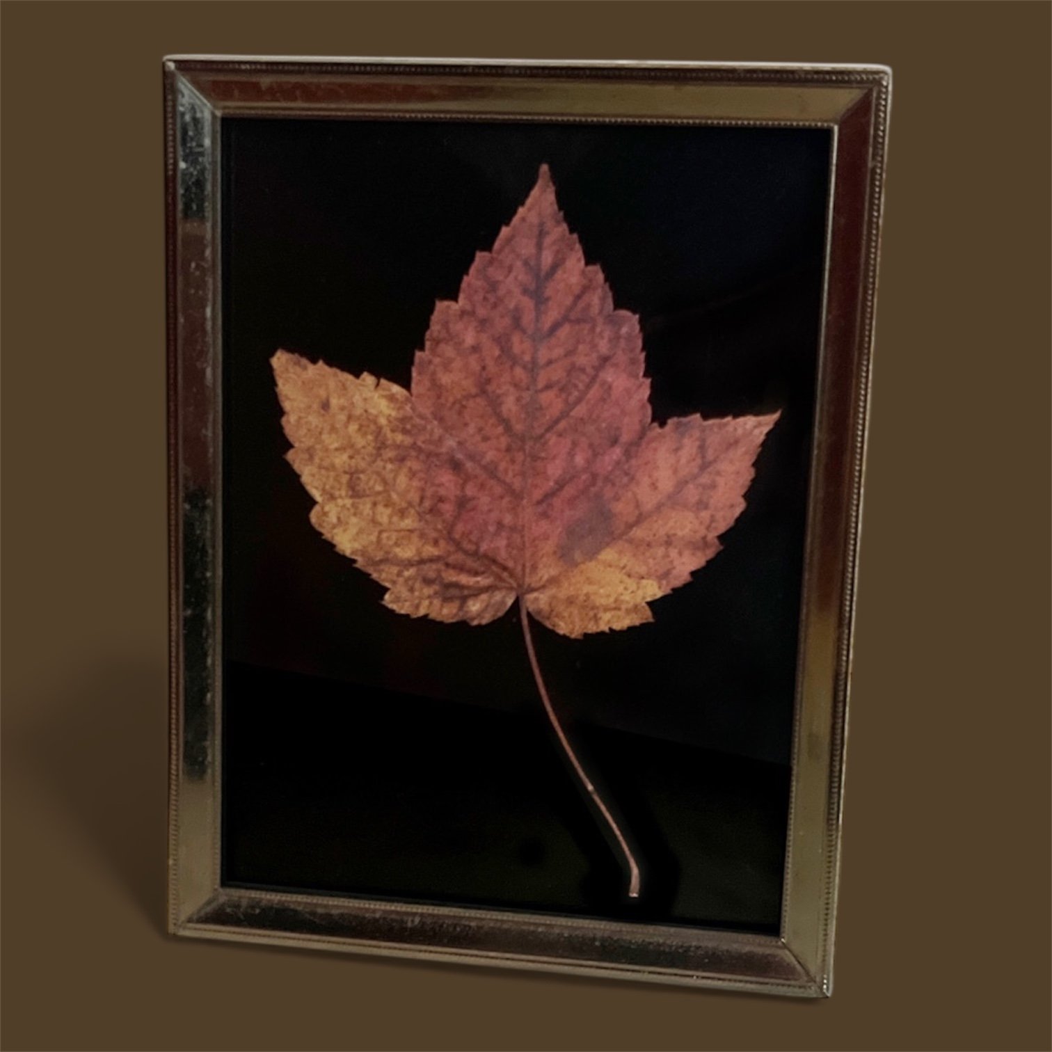 Maple Leaf - framed, photo art piece - small
