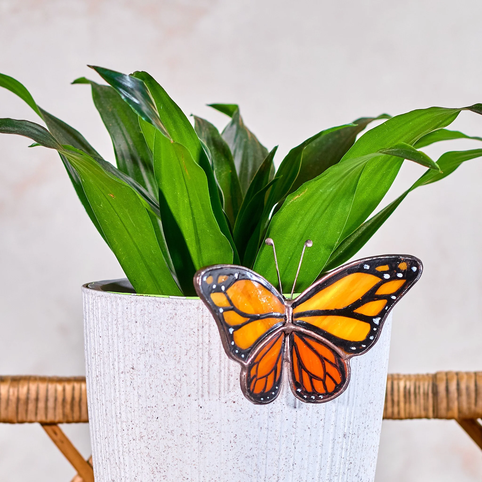 Копия Monarch Butterfly Plant Pot Hugger (1).jpg