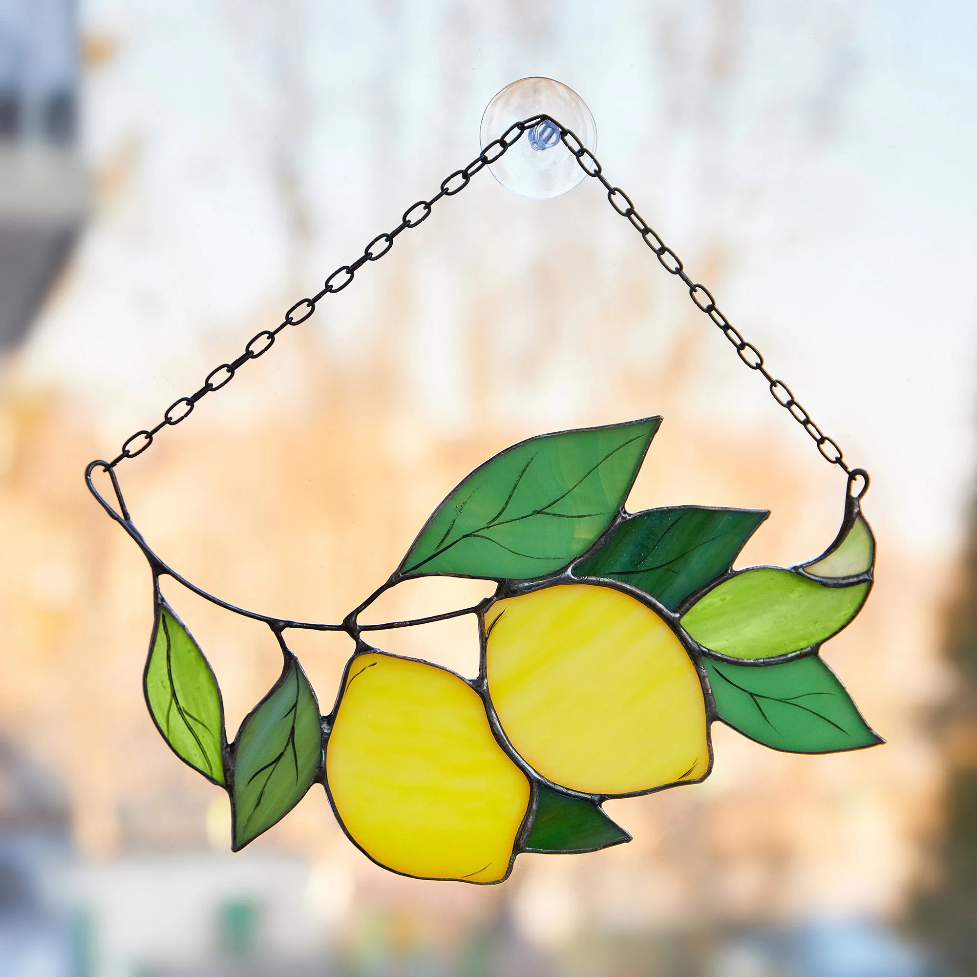 Копия IMG_6144 1.jpg