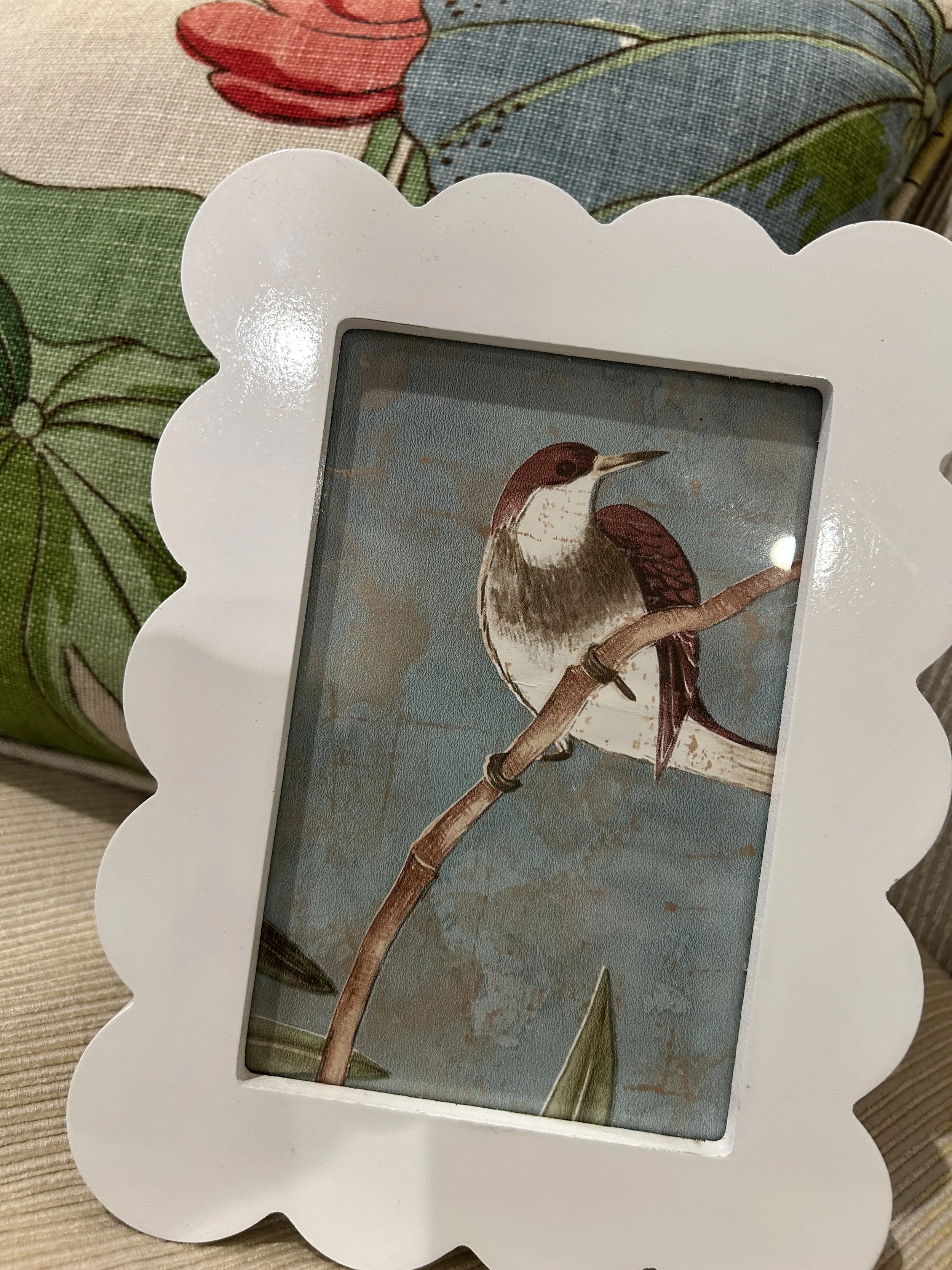 Frames by Serendipity