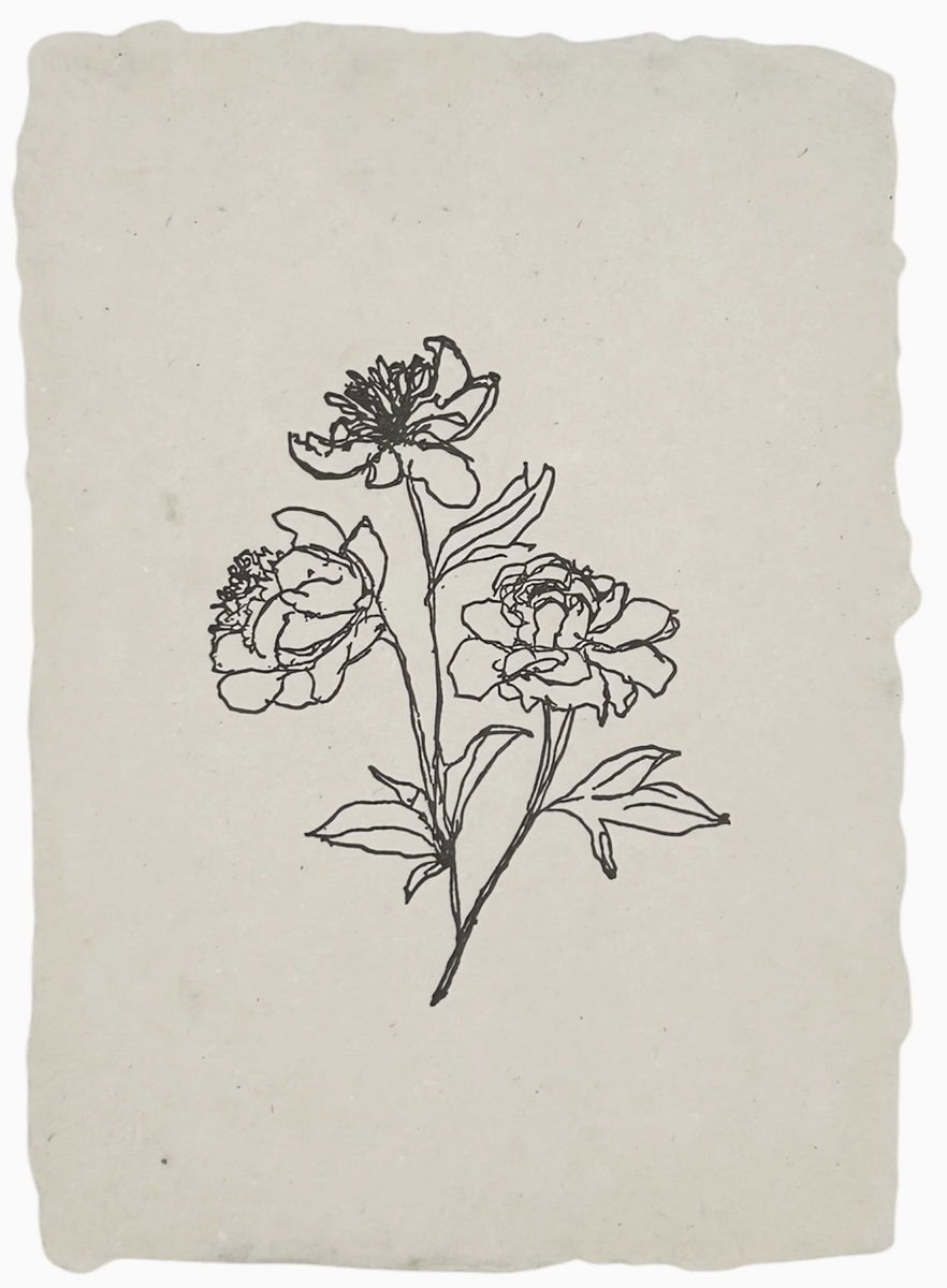 Peony Stems Art Print
