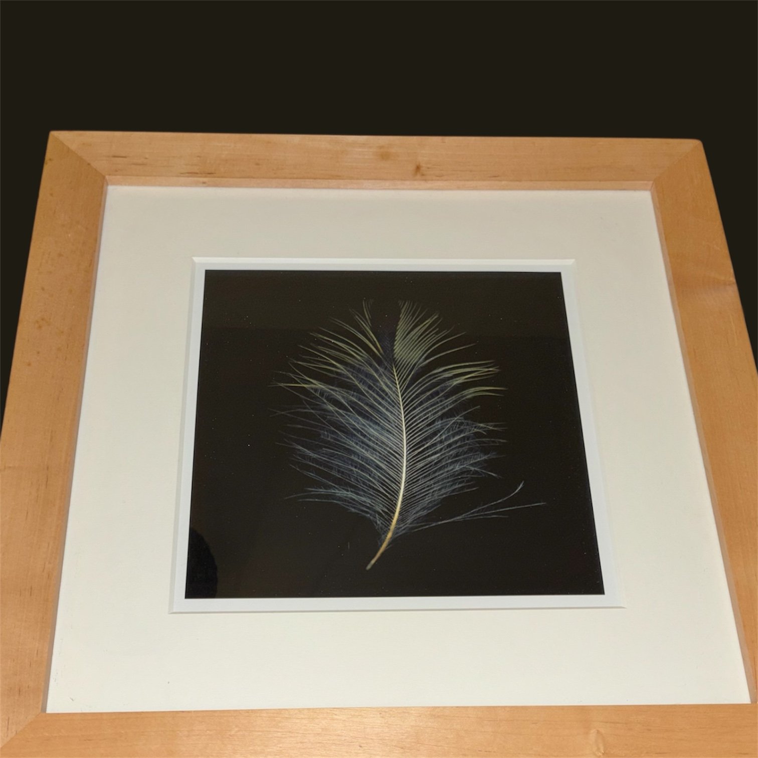 Peacock Feather - framed, photo art piece - large