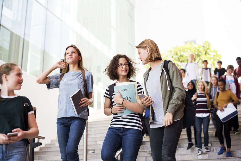 New Zealand Govt considers reopening country for $5b international student industry