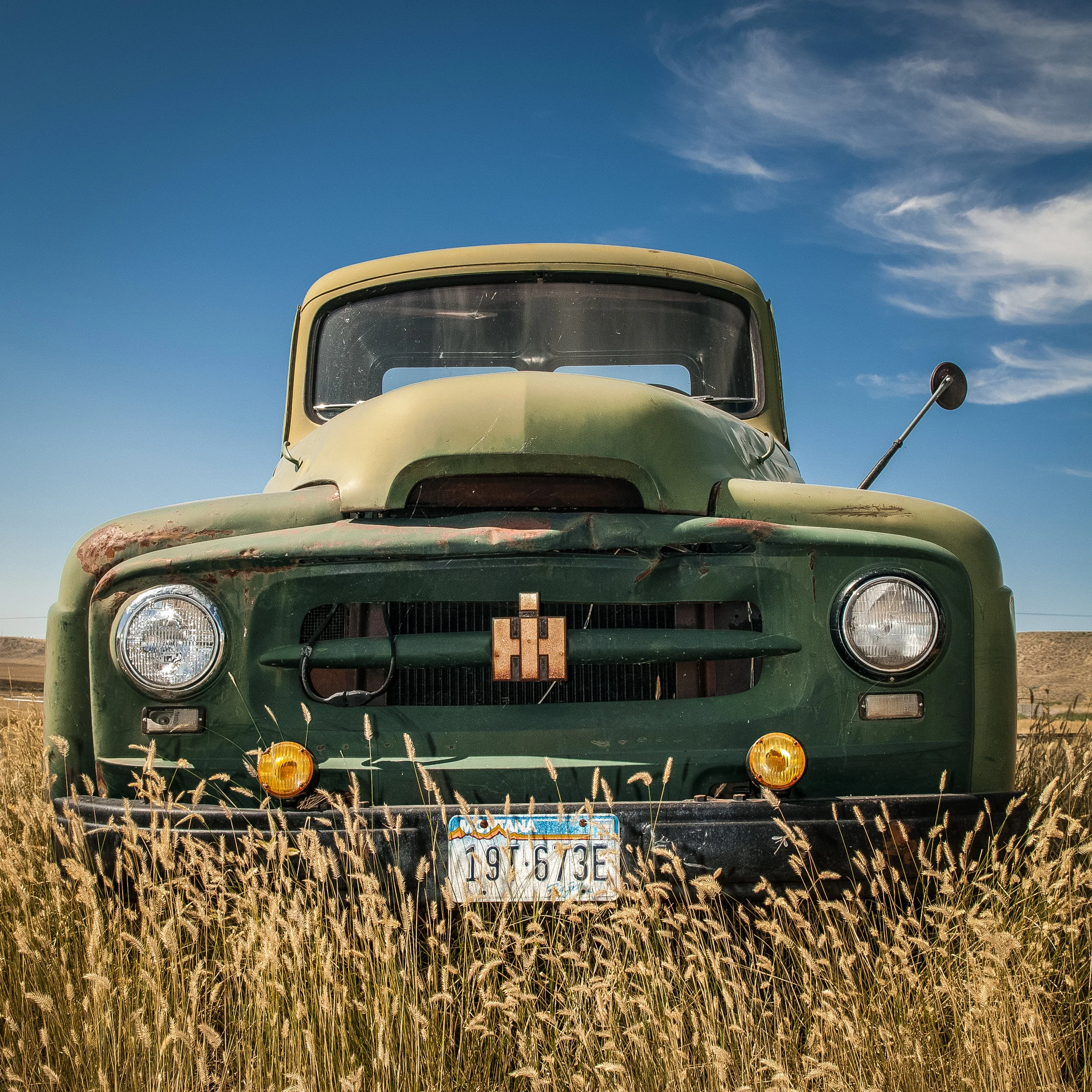 _DSC6794square.jpg