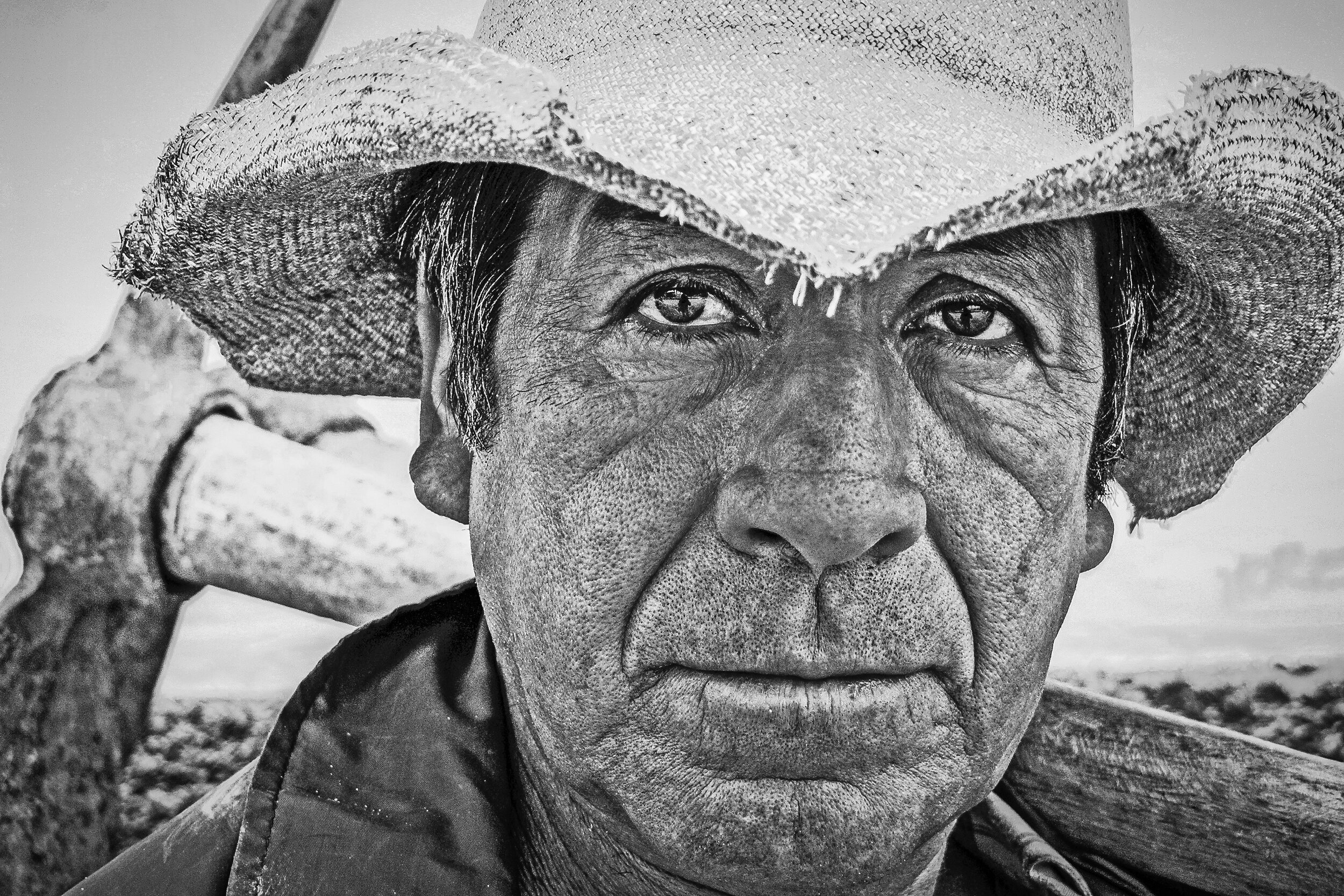 Sikora_Day Laborer-2.jpg