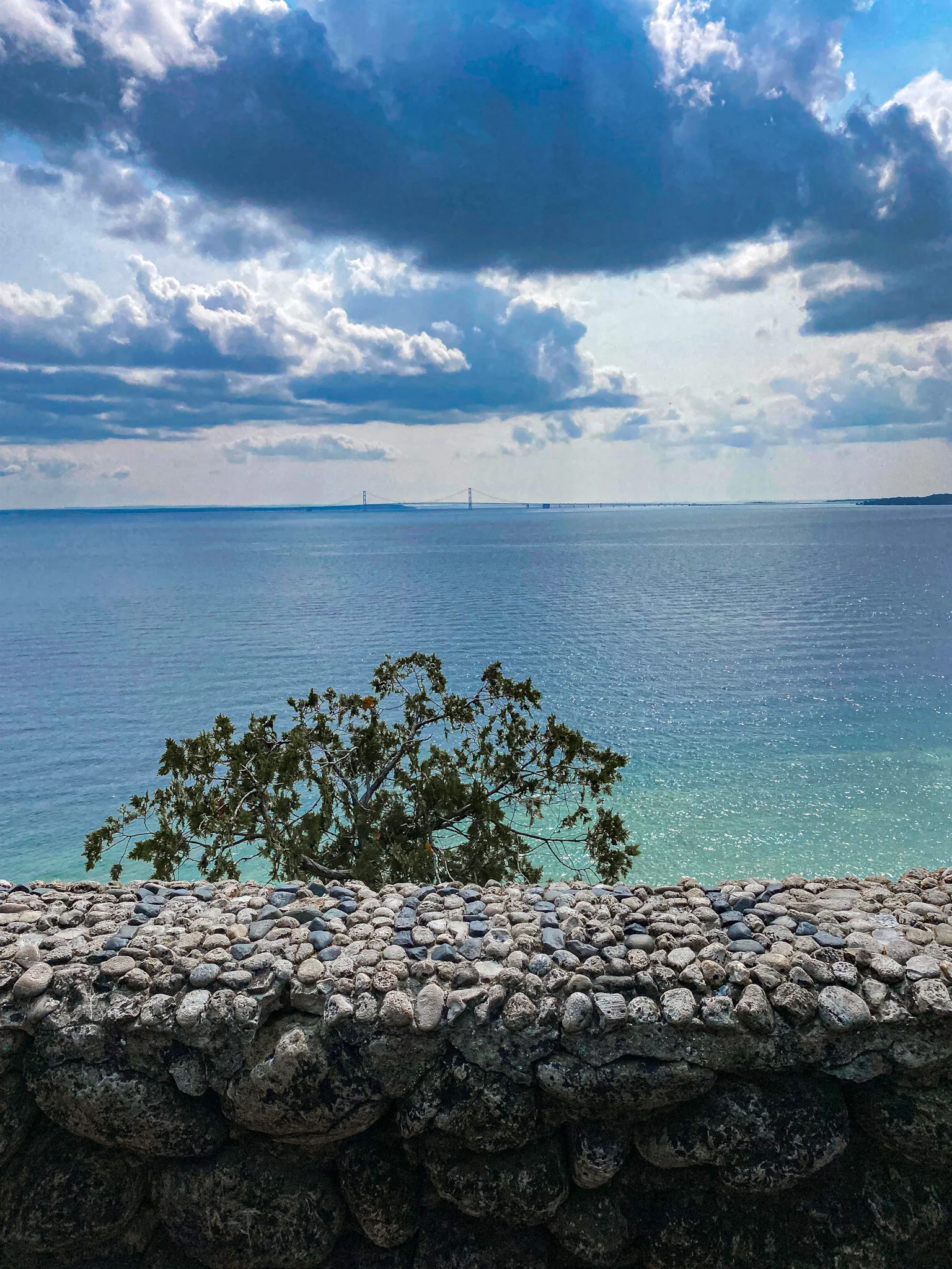 Navigating High School Through Covid