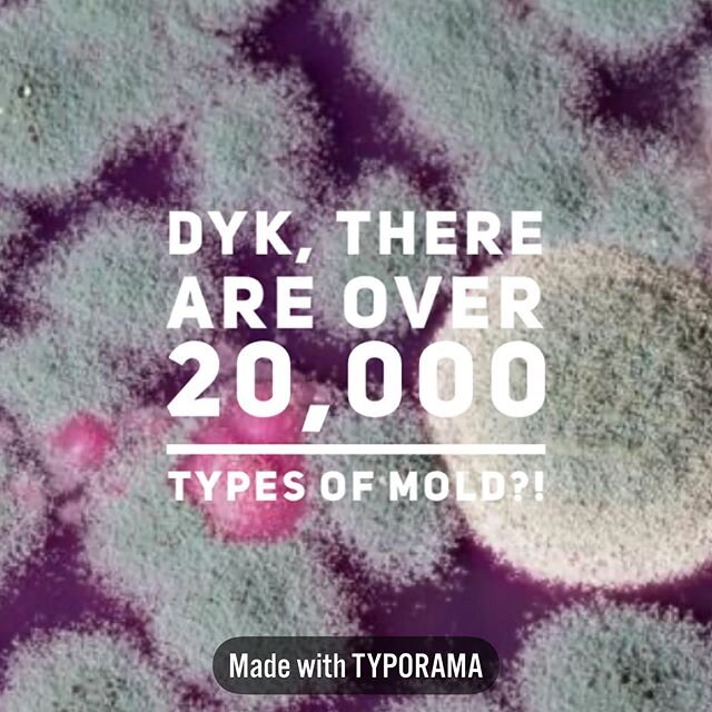 There are over 20,000 known types of mold! Contact us for more information on how to protect your family #breatheeasy #mold #IAQ #moldstinks