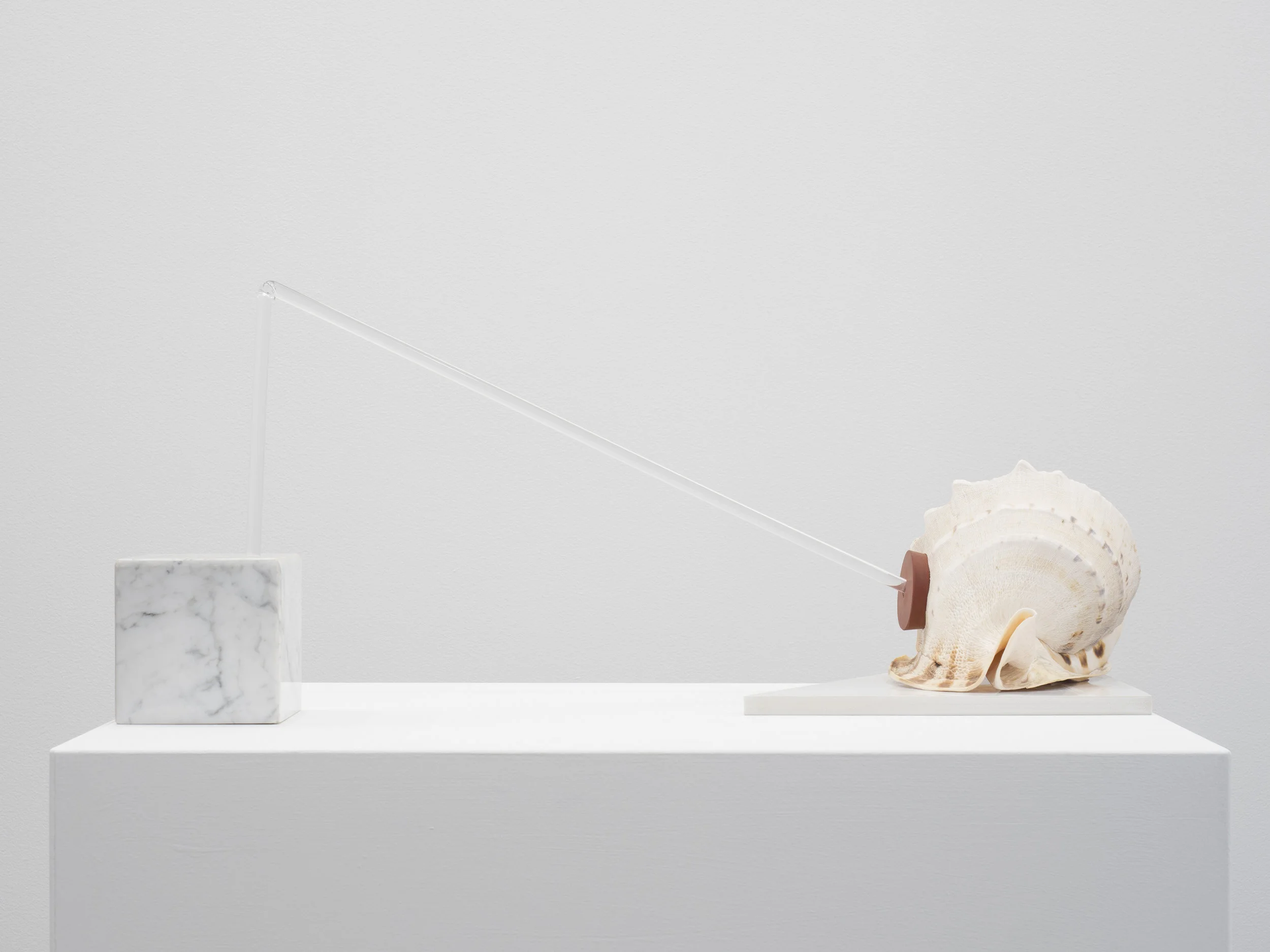   End to End 1  marble, acrylic perspex, helmet shell, rubber, plastic 